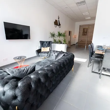 Loft La Mine D'or - Parking Gratuit Et Prive - Wifi - Equipe - Machine A Laver Rive-de-Gier