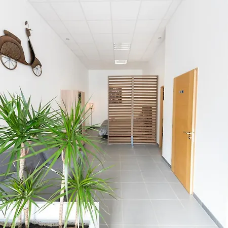 Apartment Loft La Mine D'or - Parking Gratuit Et Prive - Wifi - Equipe - Machine A Laver Rive-de-Gier