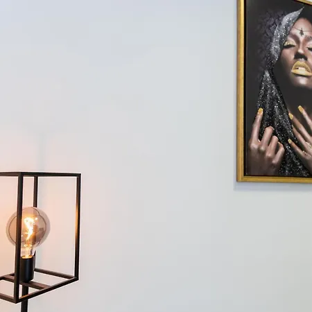 Loft La Mine D'or - Parking Gratuit Et Prive - Wifi - Equipe - Machine A Laver * Rive-de-Gier